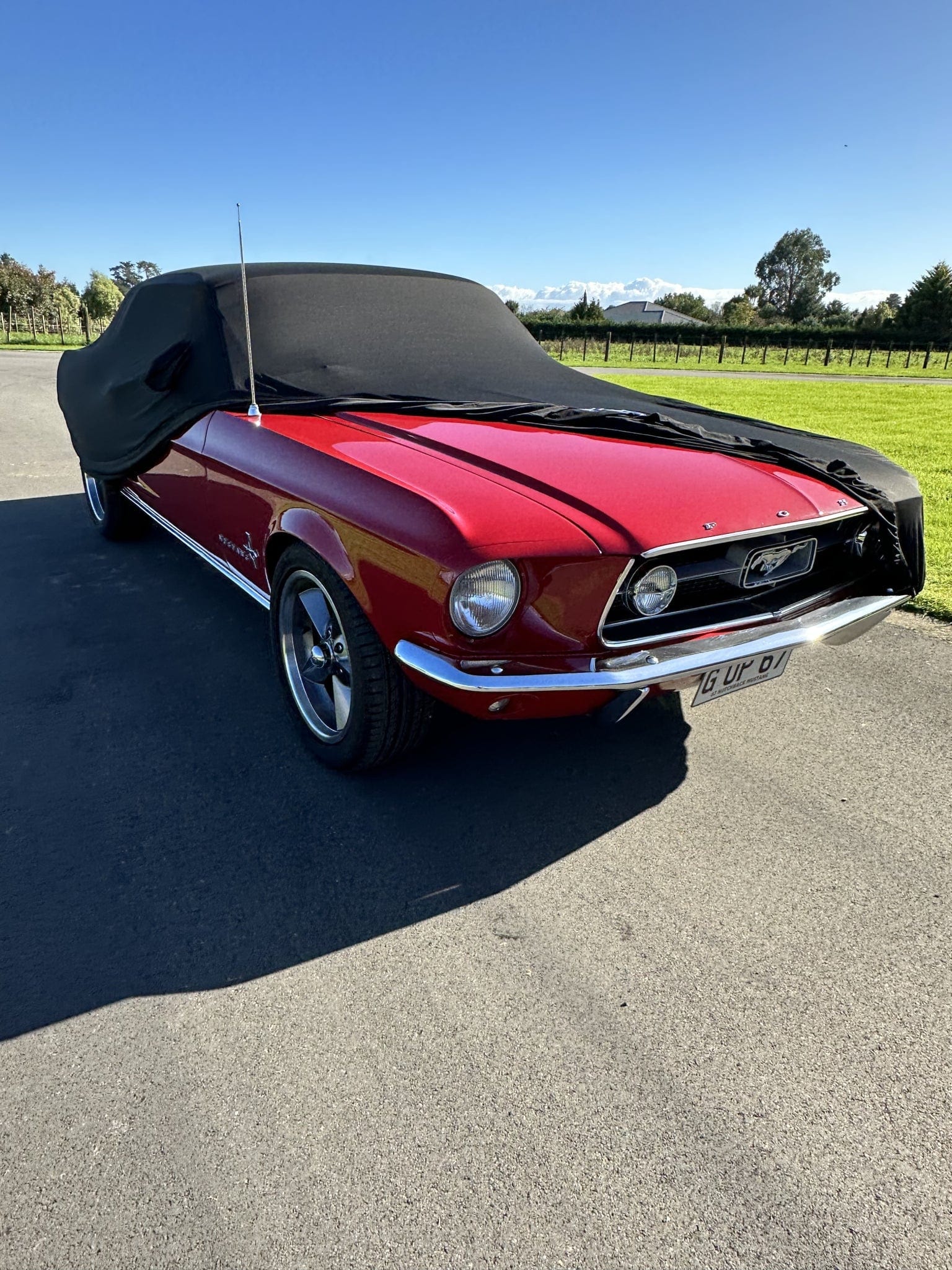 Boosted Kiwi Boosted Kiwi Ford Mustang First Generation (1965 - 1973) Custom Fit Indoor Car Cover SR