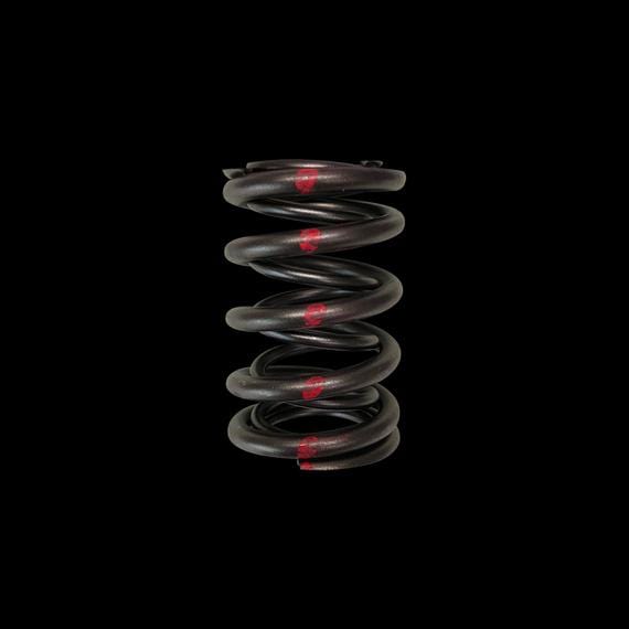 Brian Crower Brian Crower Dual Valve Springs Prelude H22A SR20VE BC1030 SR