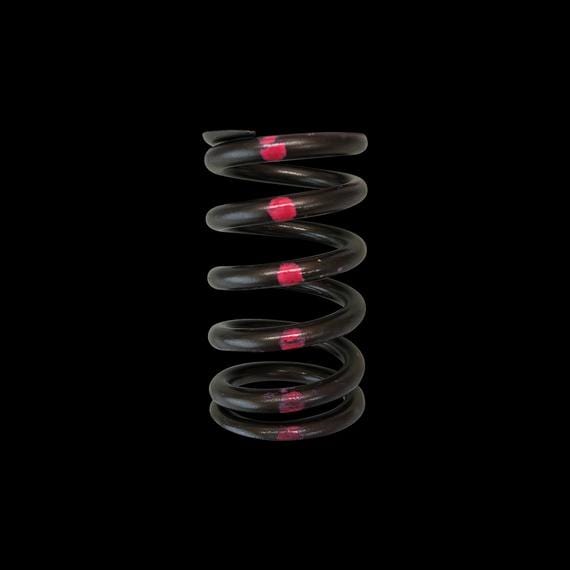 Brian Crower Brian Crower Single Valve Springs Silvia 240SX SR20 SR20DE SR20DET VALVE SPRINGS BC1200 SR