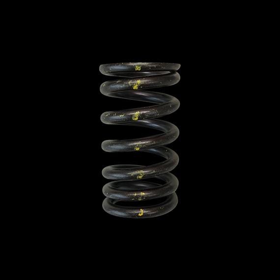 Brian Crower Brian Crower Single Valve Springs Toyota Supra MK3 7MGTE BC1320 SR