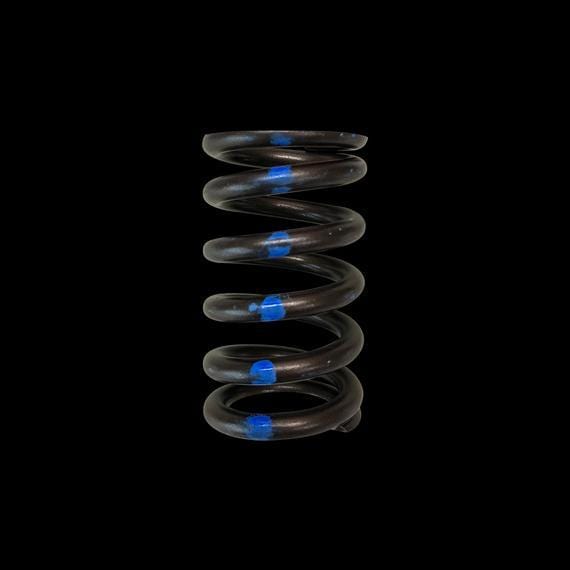 Brian Crower VALVE SPRINGS - SINGLE Mitsubishi 6G72 BC1140 SR