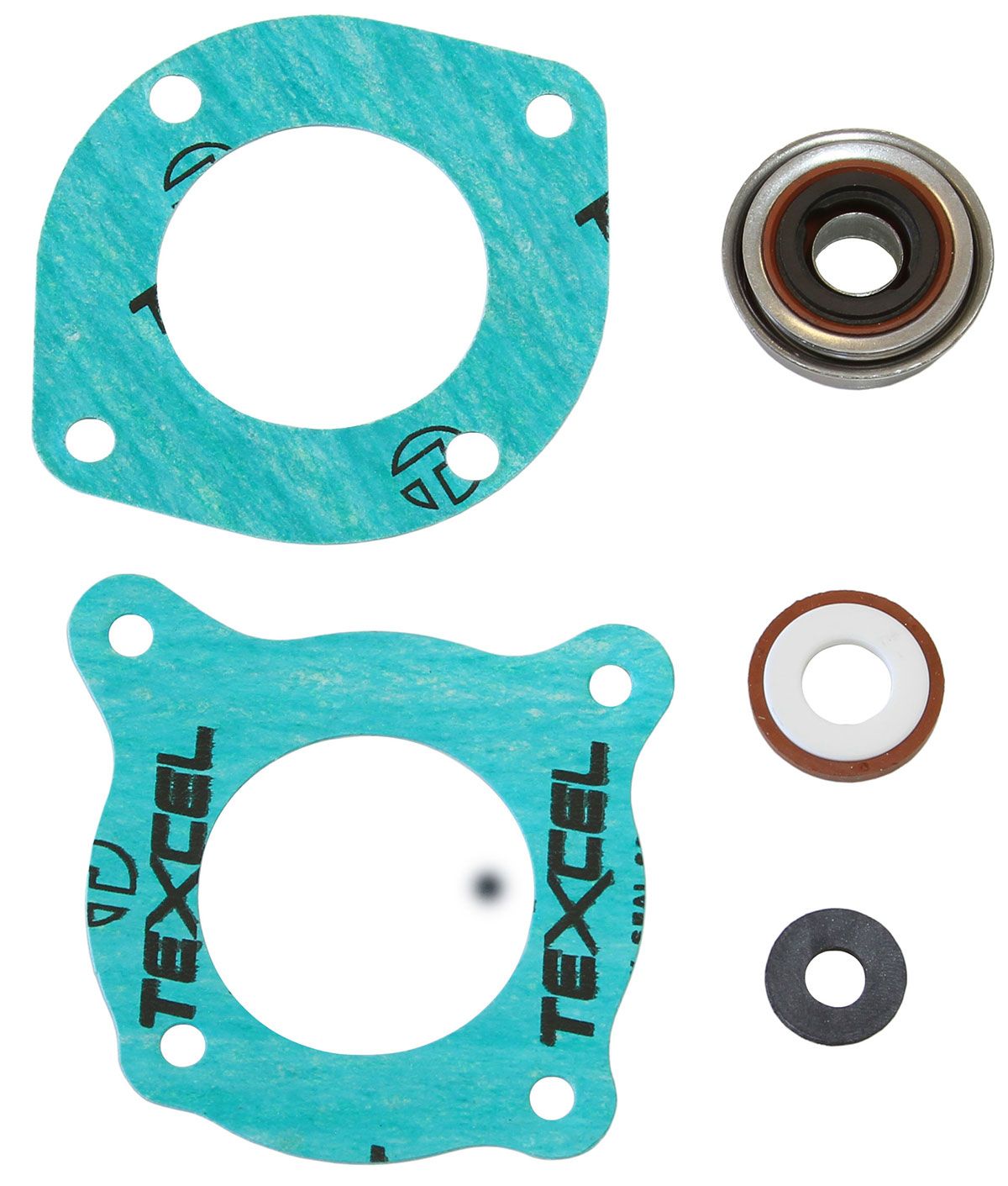 DEDENBEAR Dedenbear Electric Motor Seal DE-SKWP SR