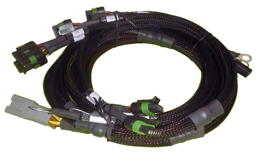 Haltech ECU Haltech 8 channel High Output Ignition Coil Harness Only Ford HT-130311 SR