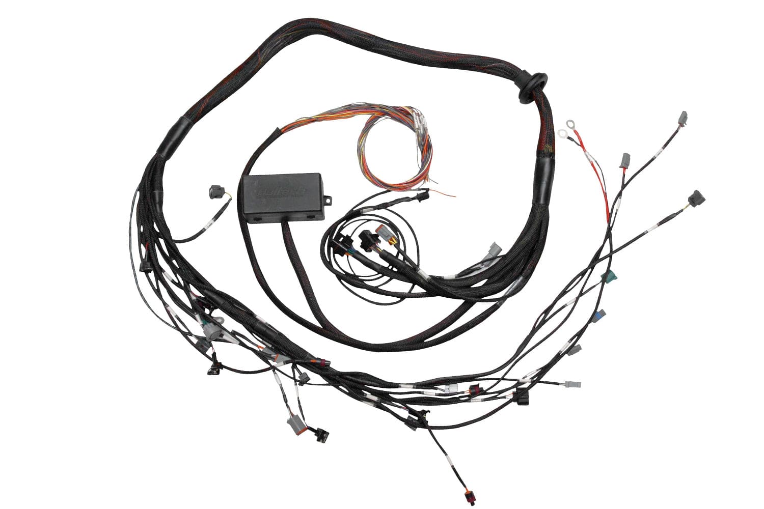 Haltech ECU Haltech Elite 2000/2500 Toyota 2JZ Term Main Engine Harness only HT-130318 SR