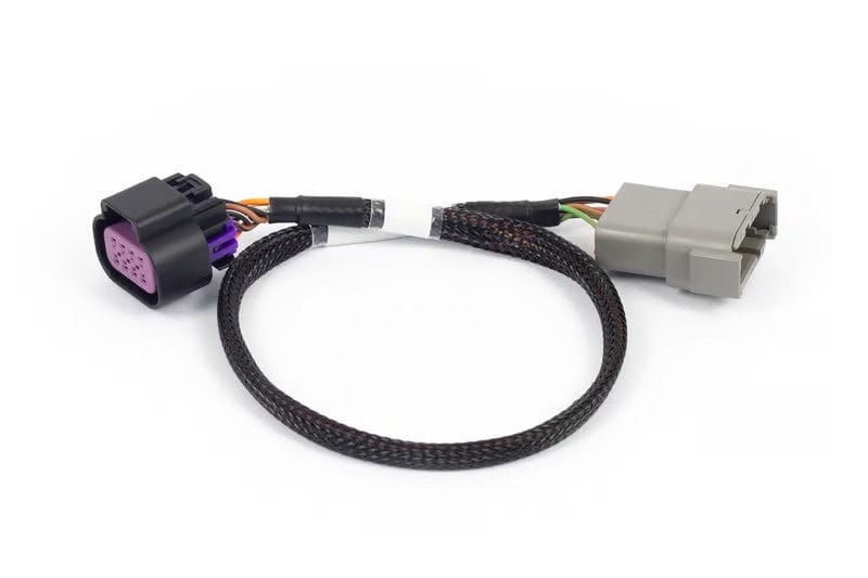 Haltech ECU's & Accessories Haltech Nexus Rebel LS - 8-pin DBW adaptor - HT-186506 SR