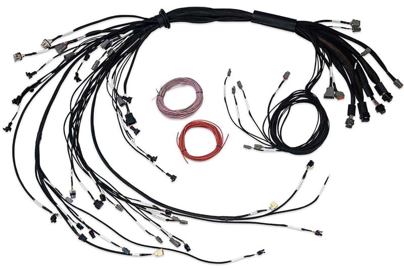 HALTECH Nexus R5 LSx Non DBW Terminated Harness Injector Connector: EV1 HALTECH Nexus R5 LSx Non DBW Terminated Harness Injector Connector: EV1 SR