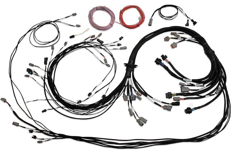 HALTECH Universal V8 Terminated Engine Harness for Nexus R5 VCU HALTECH Universal V8 Terminated Engine Harness for Nexus R5 VCU SR