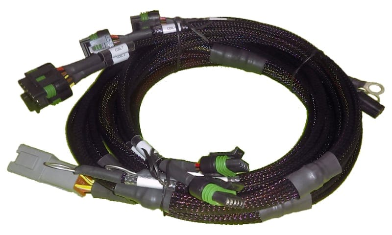 HALTECH V8 Ford Small/Big Block 8 x Individual High Output IGN-1A Inductive Coil Harness HALTECH V8 Ford Small/Big Block 8 x Individual High Output IGN-1A Inductive Coil Harness SR