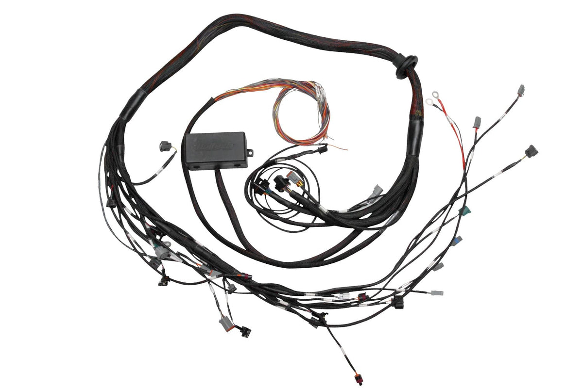 Haltech Wiring Harnesses / Looms Elite 2000/2500 Toyota 2JZ Terminated Engine Harness Haltech Elite 2000/2500 Toyota 2JZ Terminated Engine Harness (HT-130318) SR
