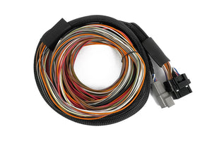 Haltech Nexus IO16 Universal Wire in harness 2.6m (8.5') (HT-180000)