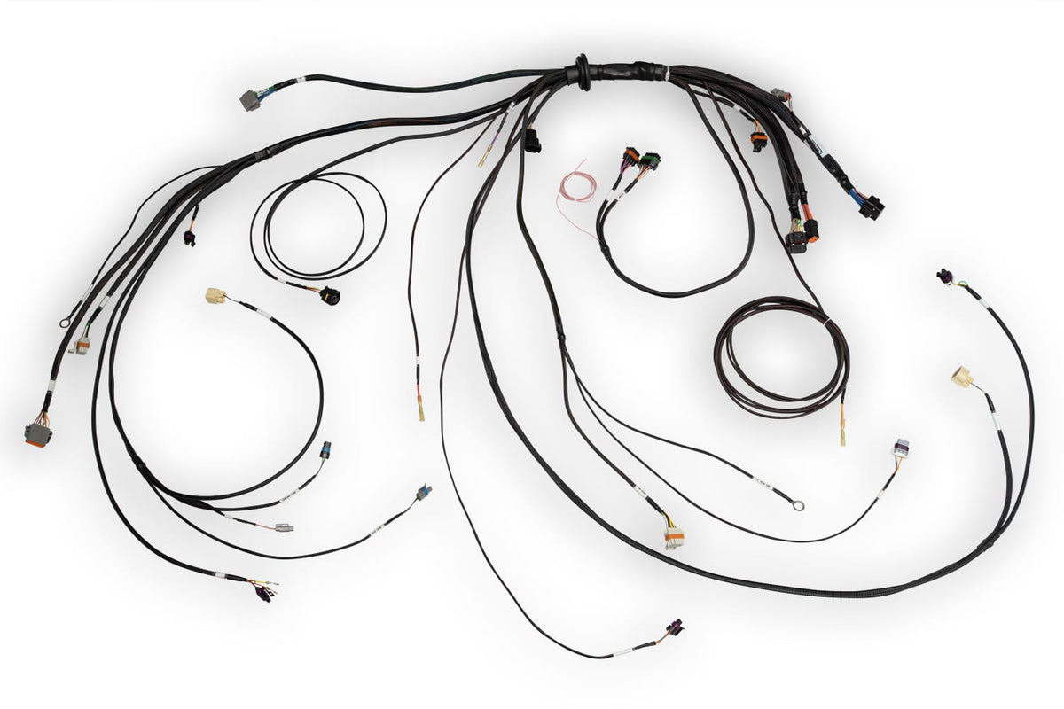 Haltech Wiring Harnesses / Looms Haltech Nexus Rebel LS Terminated Harness for Nexus Rebel LS ECU (HT-186500) SR