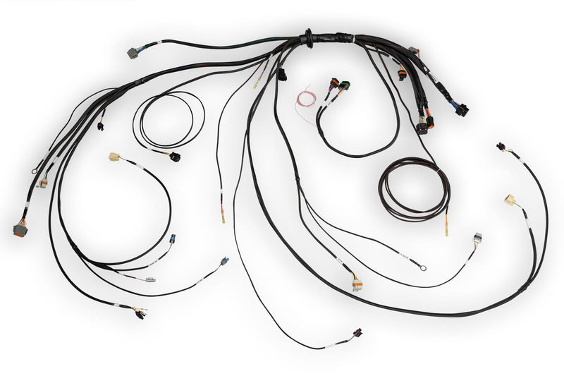 Haltech Nexus Rebel LS Terminated Harness for Nexus Rebel LS ECU (HT-186500)