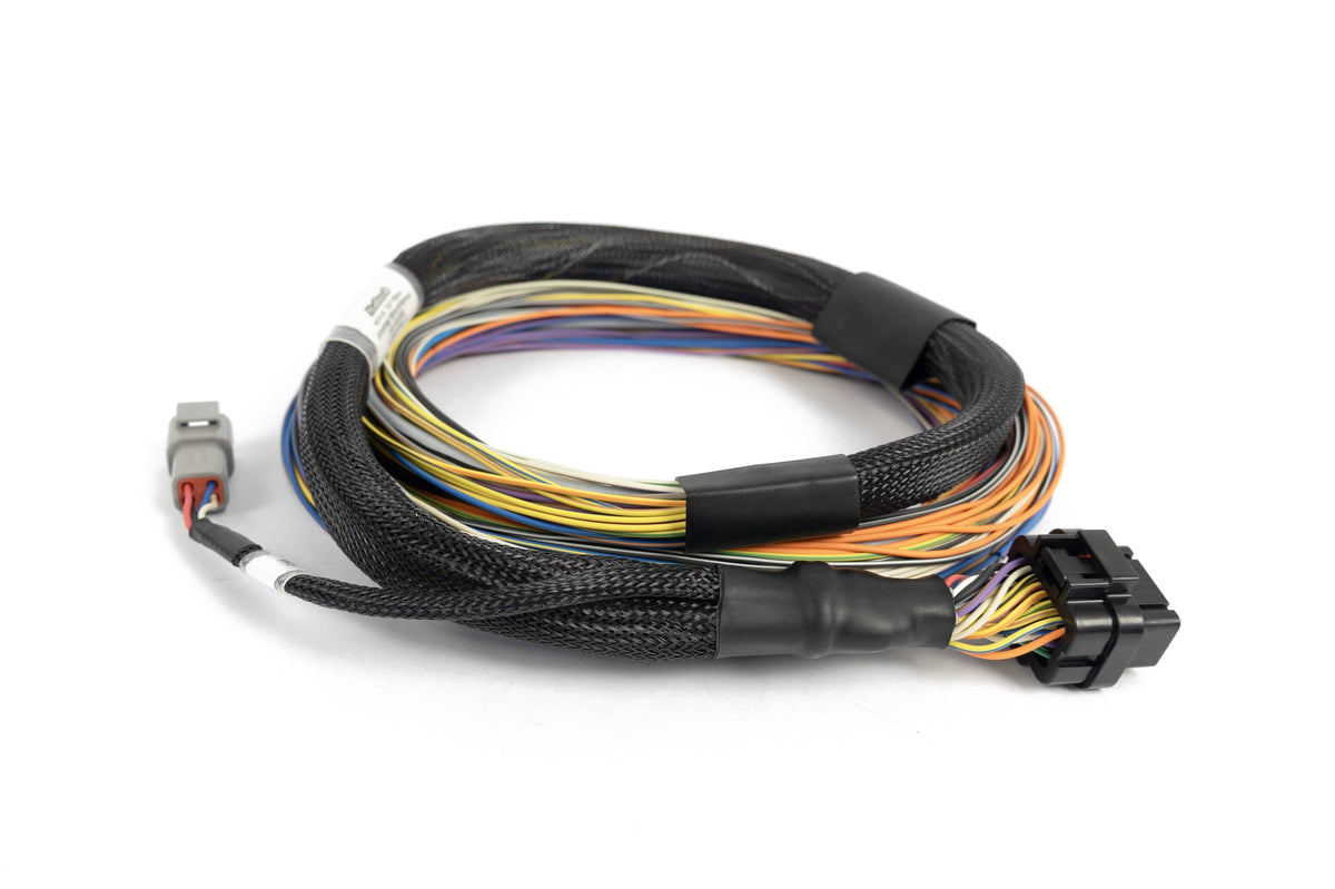 Haltech Wiring Harnesses / Looms Haltech Nexus T2 / T1 Basic Universal Wire-in Harness (HT-181200) SR