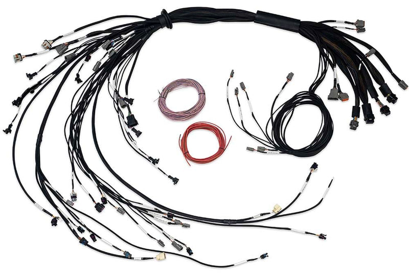 Haltech Nexus R5 LSx Non DBW Terminated Harness (HT-186206)