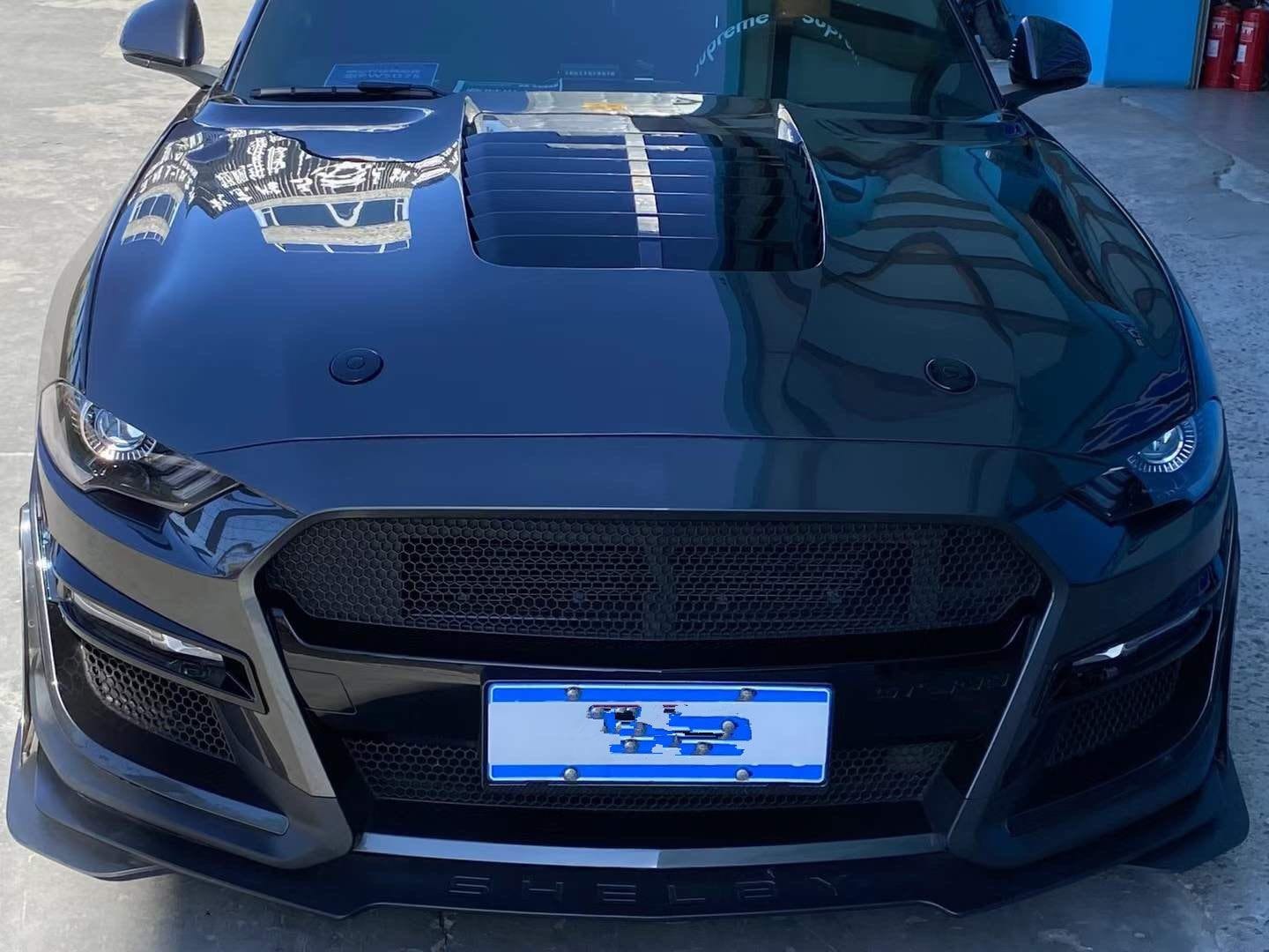 Luxury Sports Luxury Sports Alloy GT Style Vented Bonnet For Ford Mustang 15-17 SR