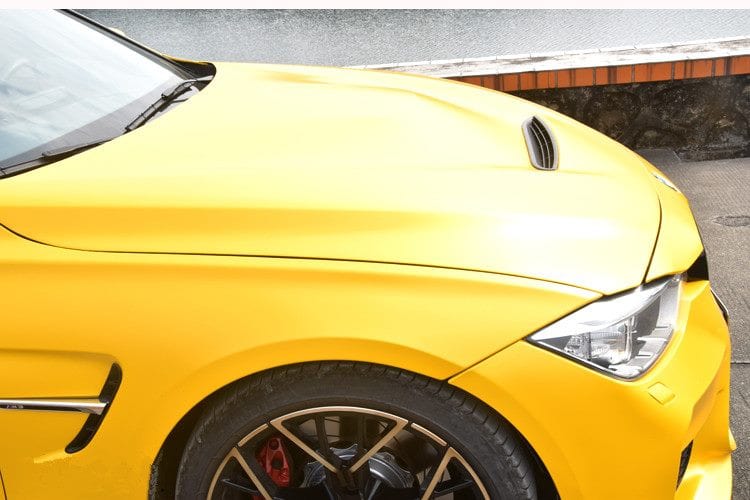 Luxury Sports Luxury Sports GTS Style Carbon Bonnet For BMW F30 -PP SR