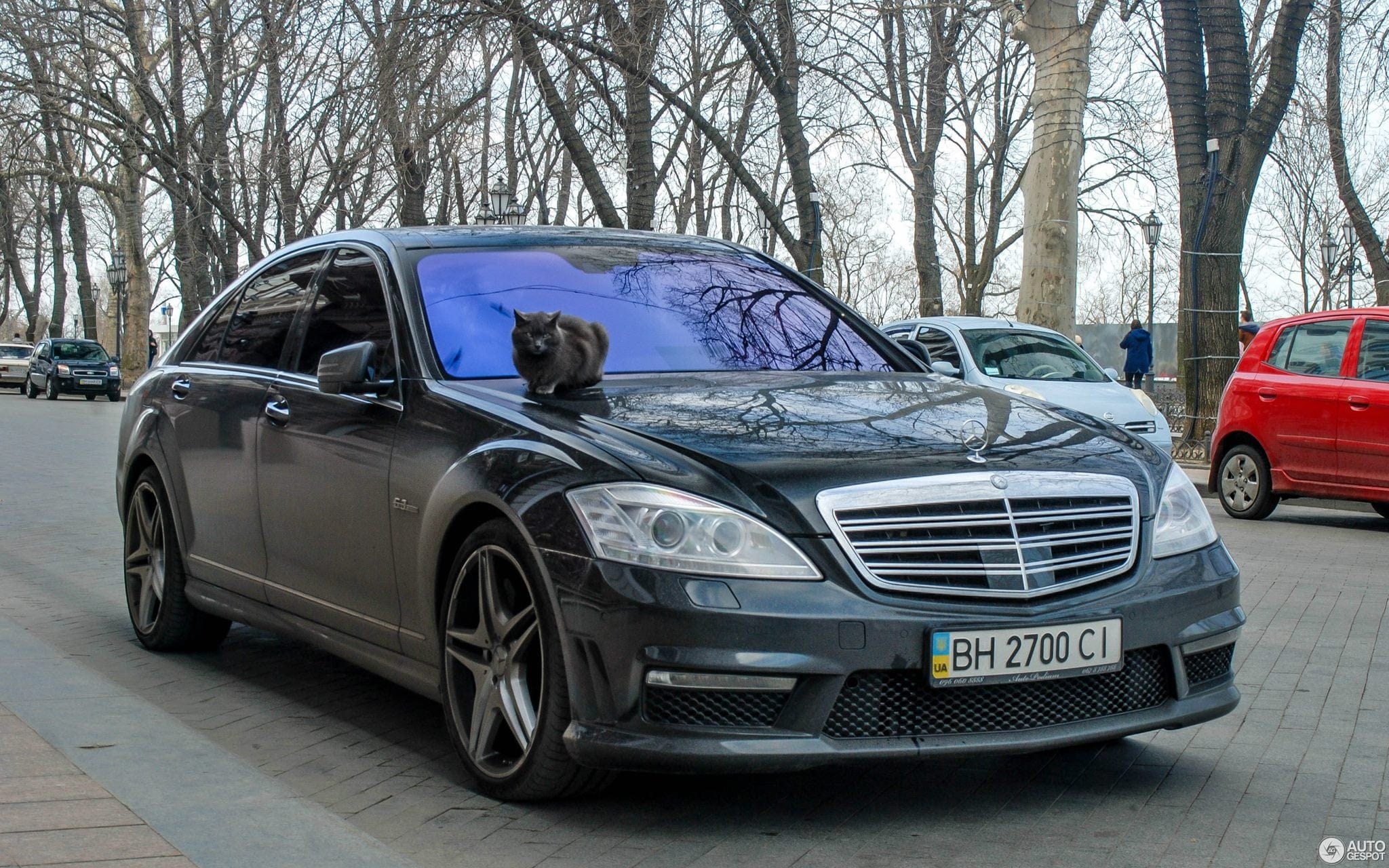 Luxury Sports Pay Total Price Now Luxury Sports S63 AMG Style Front Bumper Conversion For Mercedes S350 06-13 -PP SR