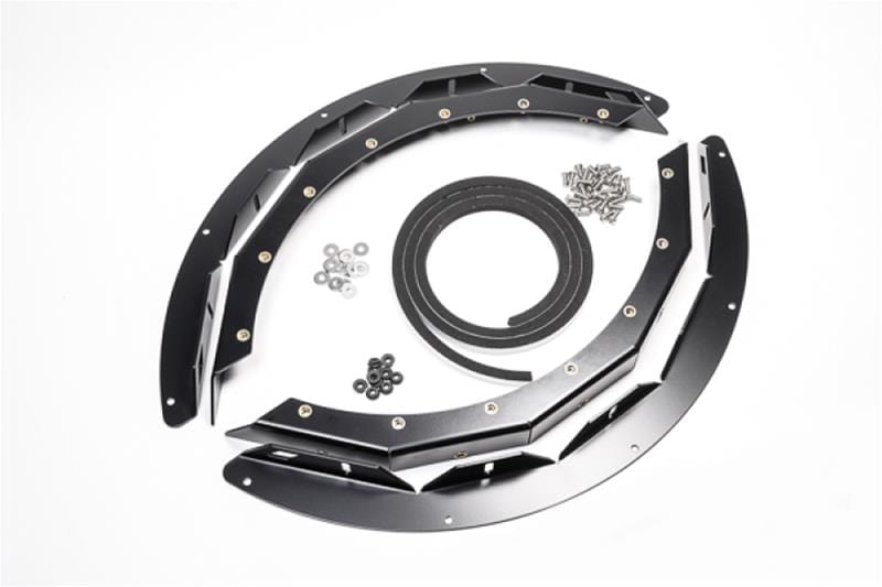 Radium Engineering Radium Engineering Fuel Cell Mounts 20-0931 SR