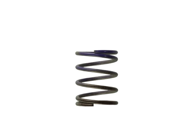 Turbosmart Turbosmart Gen4 / IWG WG38/40/45/50L 7PSI MIDDLE SPRING - BROWN/PURPLE Turbosmart Wastegate Spring TS-0505-2003 SR