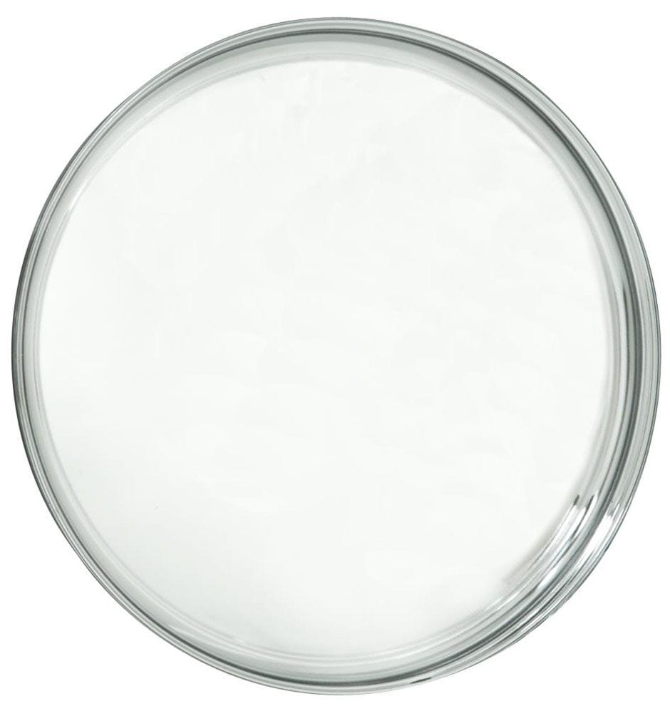 WHEELVINT Wheel Vintiques Chrome O.E Chrome Baby Moon Cap WV1011 SR