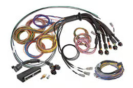 Haltech Wiring Harnesses