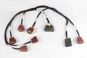 Haltech Elite 2000/2500 Ignition Sub-Harness for Nissan RB Twin Cam (External Ignitor) (HT-130331)