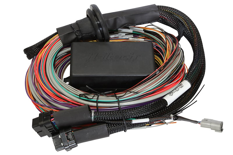 HALTECH Elite 2500 & 2500 T Premium Universal Wire-in Harness Length: 2.5m (8')