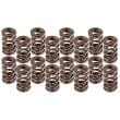 AFR Set of 16 Air Flow Research Pac Dual Valve Springs, 1.550" 220-603lbs@1.950", .710" Lift AFR8000-16 SR