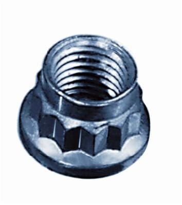 ARP ARP 3/8"-16 SS 12pt nut kit (401-8301) SR