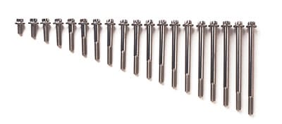 ARP ARP M10 x 1.25 x 45 12pt SS bolts (773-1006) SR