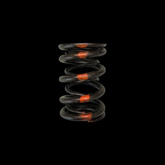 Brian Crower Brian Crower Dual Valve Springs Integra LS B18 B18A B18A1 B18B B20 B20B B20Z BC1020 SR
