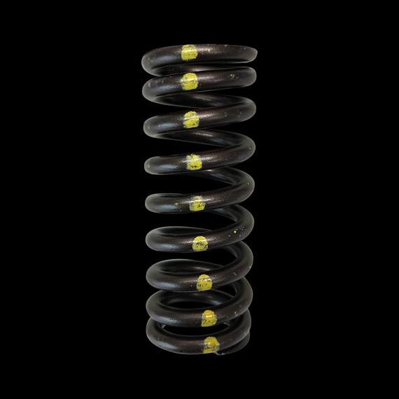 Brian Crower Brian Crower SINGLE VALVE SPRINGS Honda R18 BC1080 SR