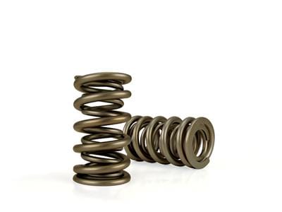 COMP 1.320 O.D With 129 lbs @ 1.835" Seat Pressure COMP Cams Race Street Dual Valve Springs CO26926-16 SR