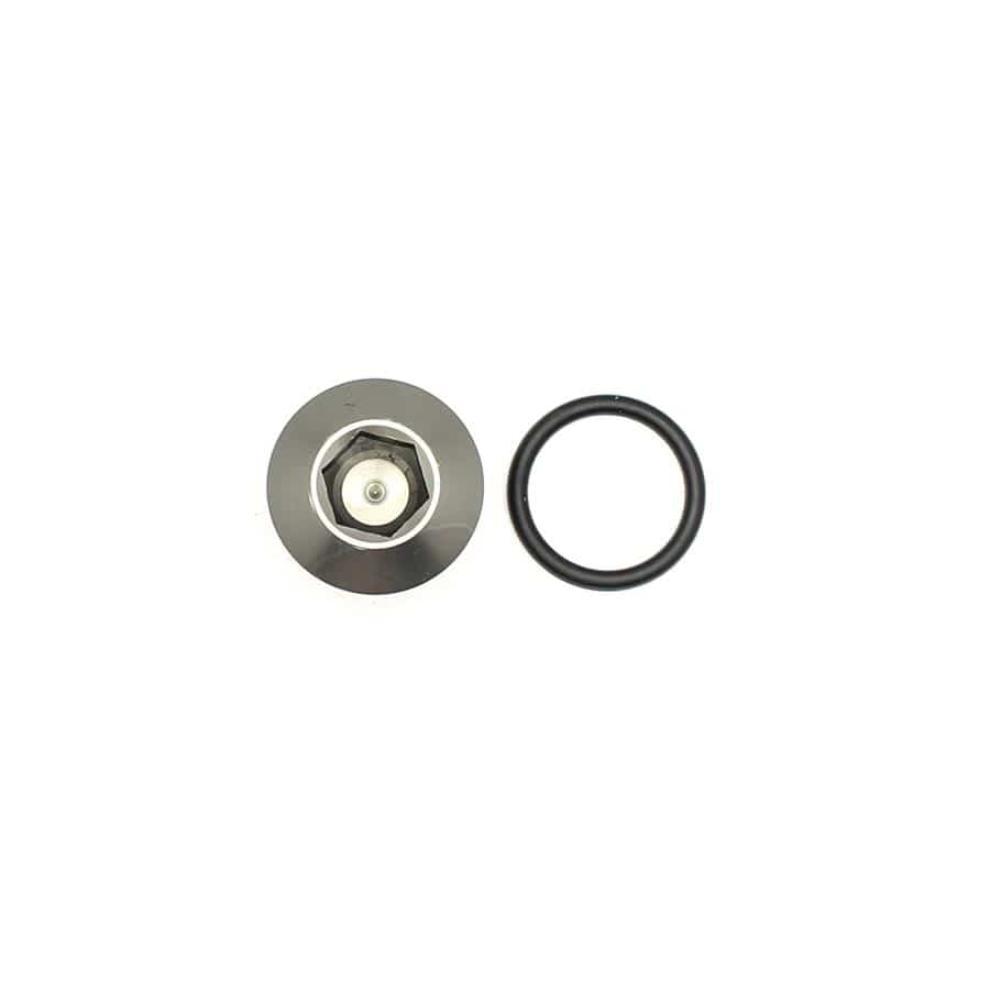 DeatschWerks DeatschWerks Plugs 6-02-0718 SR