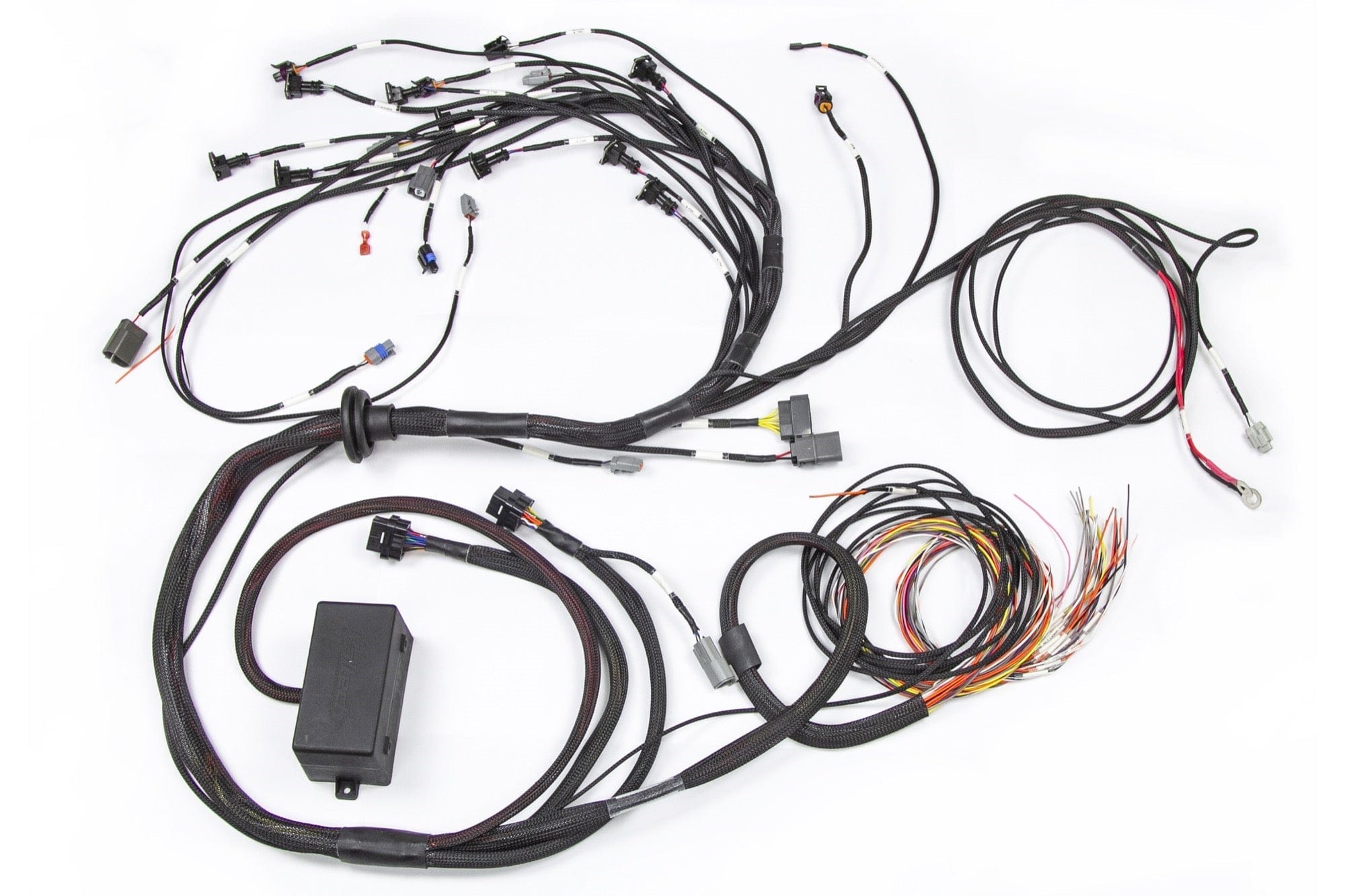 Haltech ECU Haltech E2000/2500 RB Terminated Engine Harness Only HT-130326 SR