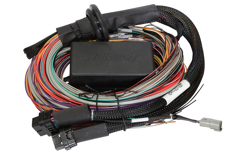 Haltech ECU Haltech Elite 2500 - 2.5m (8 ft) Premium Uni Wire-in Harness HT-141304 SR