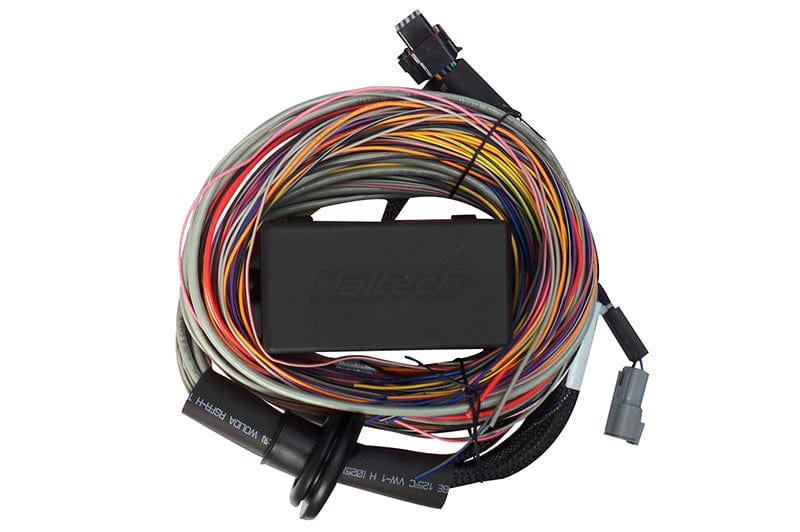 Haltech ECU Haltech Elite 750 Premium Universal Wire-in Harness 2.5m (8') HT-140604 SR