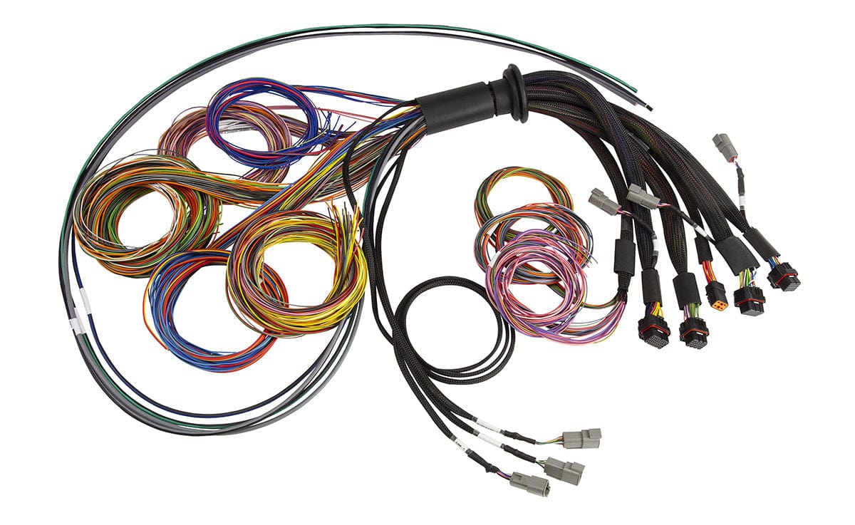 Haltech ECU Haltech Nexus R5 Basic Universal Wire-In harness - 2.5M (8') HT-185200 SR