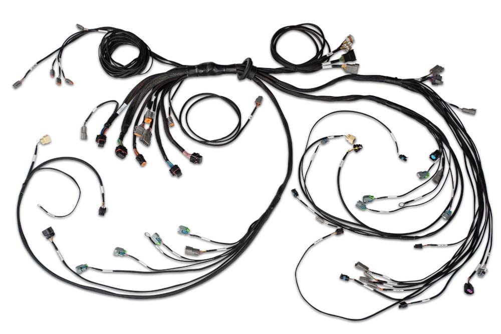 Haltech ECU Haltech Nexus R5 LSx DBW Terminated Harness - HT-186205 SR