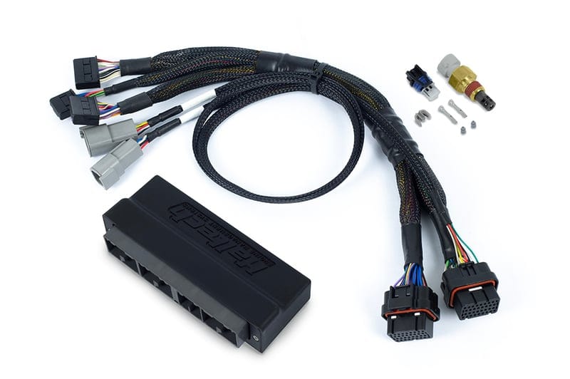 Haltech ECU Haltech Nexus S2/S3 Plug 'n' Play Adapter Harness - Subaru WRX MY99-00 - HT-186335 SR