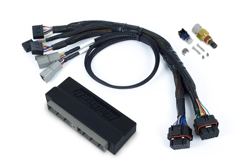 Haltech ECU Haltech Nexus S3 Plug 'n' Play Adapter Harness - Nissan Skyline R34 GT-T - HT-186363 SR