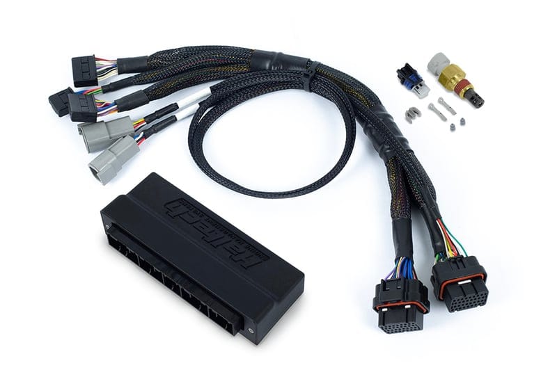 Haltech ECU Haltech Nexus S3 Plug 'n' Play Adapter Harness - Subaru WRX 01-05 - HT-186366 SR