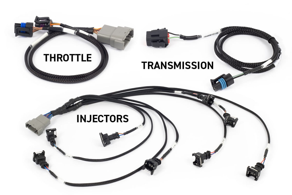 Haltech Engine Management NEXUS Rebel LS - Suits Gen III Haltech NEXUS Rebel LS - Suits Gen III (HT-220201) SR