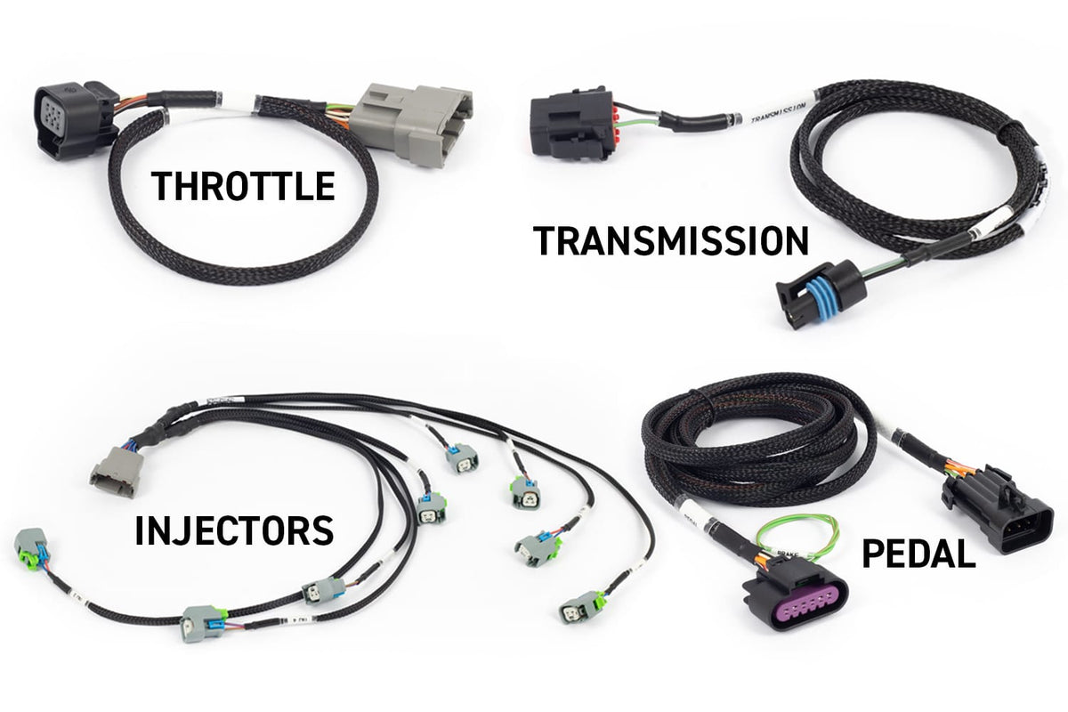 Haltech Engine Management NEXUS Rebel LS - Suits Gen IV Haltech NEXUS Rebel LS - Suits Gen IV (HT-220204) SR
