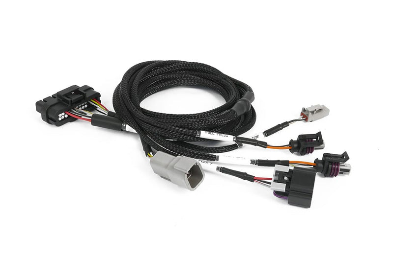 Haltech Nexus Plug-in IO Expansion Harness 2.5m (8') (HT-189002)