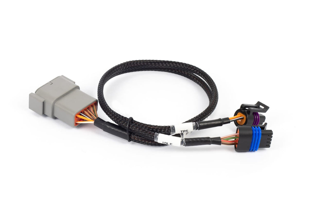 Haltech Wiring Harnesses / Looms Haltech Nexus Rebel LS - Cable Throttle + IAC sub-harness (HT-186504) SR