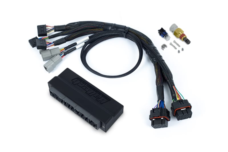 Haltech Wiring Harnesses / Looms Haltech Nexus S3 Plug 'n' Play Adapter Harness Kit - Honda S2000 (AP1 / AP2 ) (HT-213314) SR