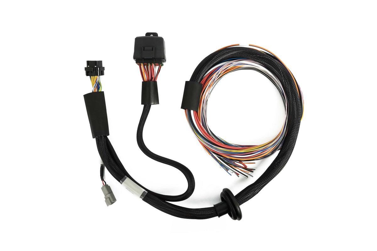 Haltech Wiring Harnesses / Looms Haltech Nexus T2 / T1 Premium Universal Wire-in Harness - 2.5m (8') (HT-181201) SR