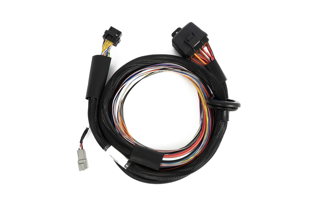 Haltech Wiring Harnesses / Looms Haltech Nexus T2 / T1 Premium Universal Wire-in Harness - 2.5m (8') (HT-181201) SR