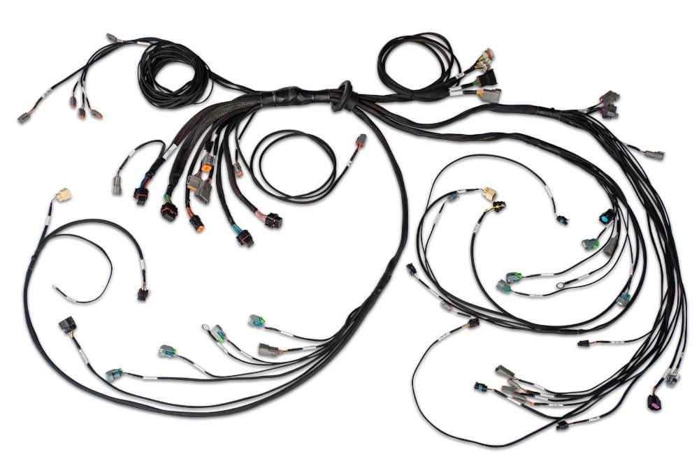 Haltech Wiring Harnesses / Looms Nexus R5 LSx DBW Terminated Harness - DBW ready Injector Connector: EV6 Haltech Nexus R5 LSx DBW Terminated Harness - DBW ready (HT-186205) SR